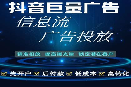 竞价广告在XX行业的成功应用案例